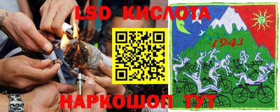 шишки Будённовск