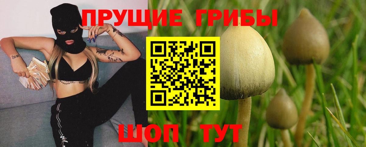 Псилоцибиновые грибы мицелий  Псилоцибиновые грибы Psilocybe  Похвистнево  Вход с VPN 